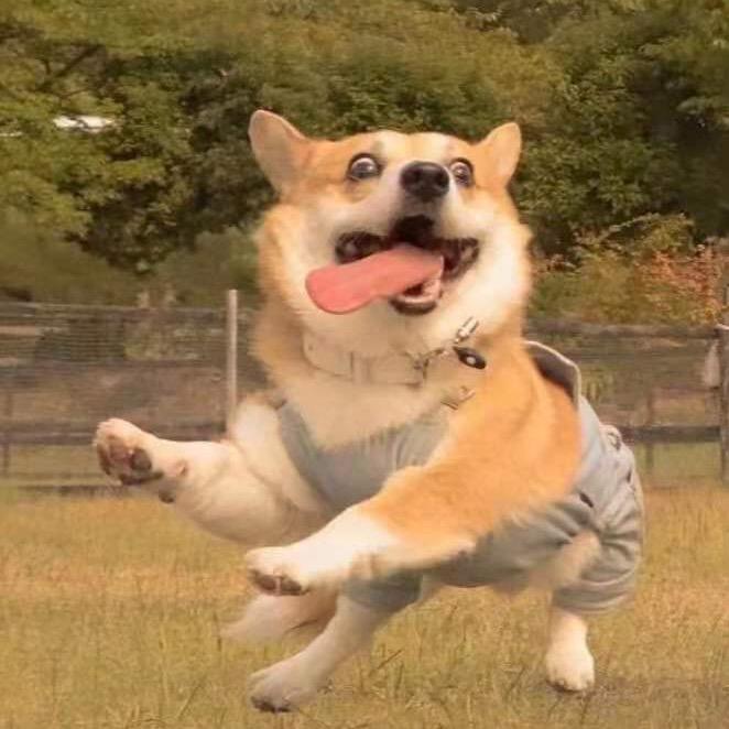 寓客直租