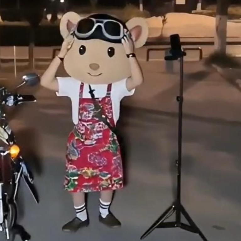努力的熊baby