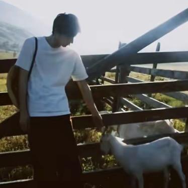 小Q ￴ ￴ ￴￴ ￴