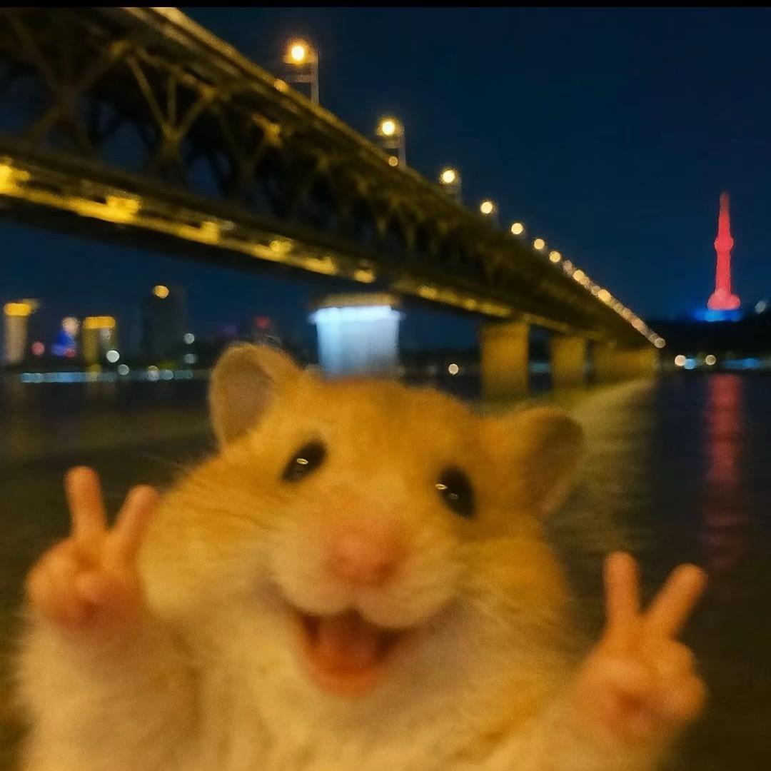 Kimi