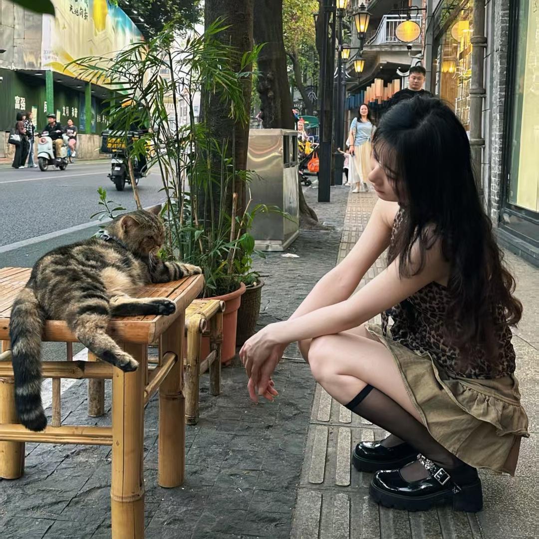 仙女的猫