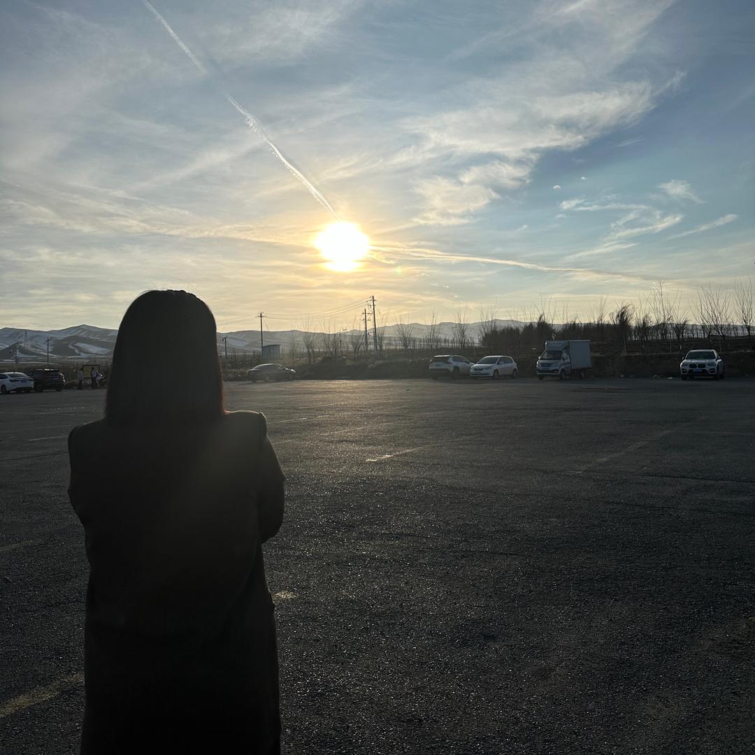 美黛海棠-辛辛子