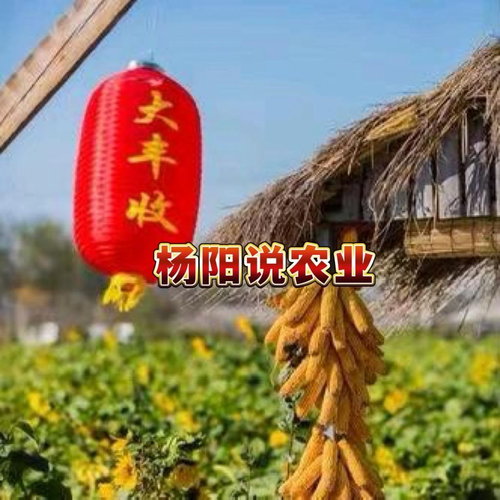 杨阳说农业