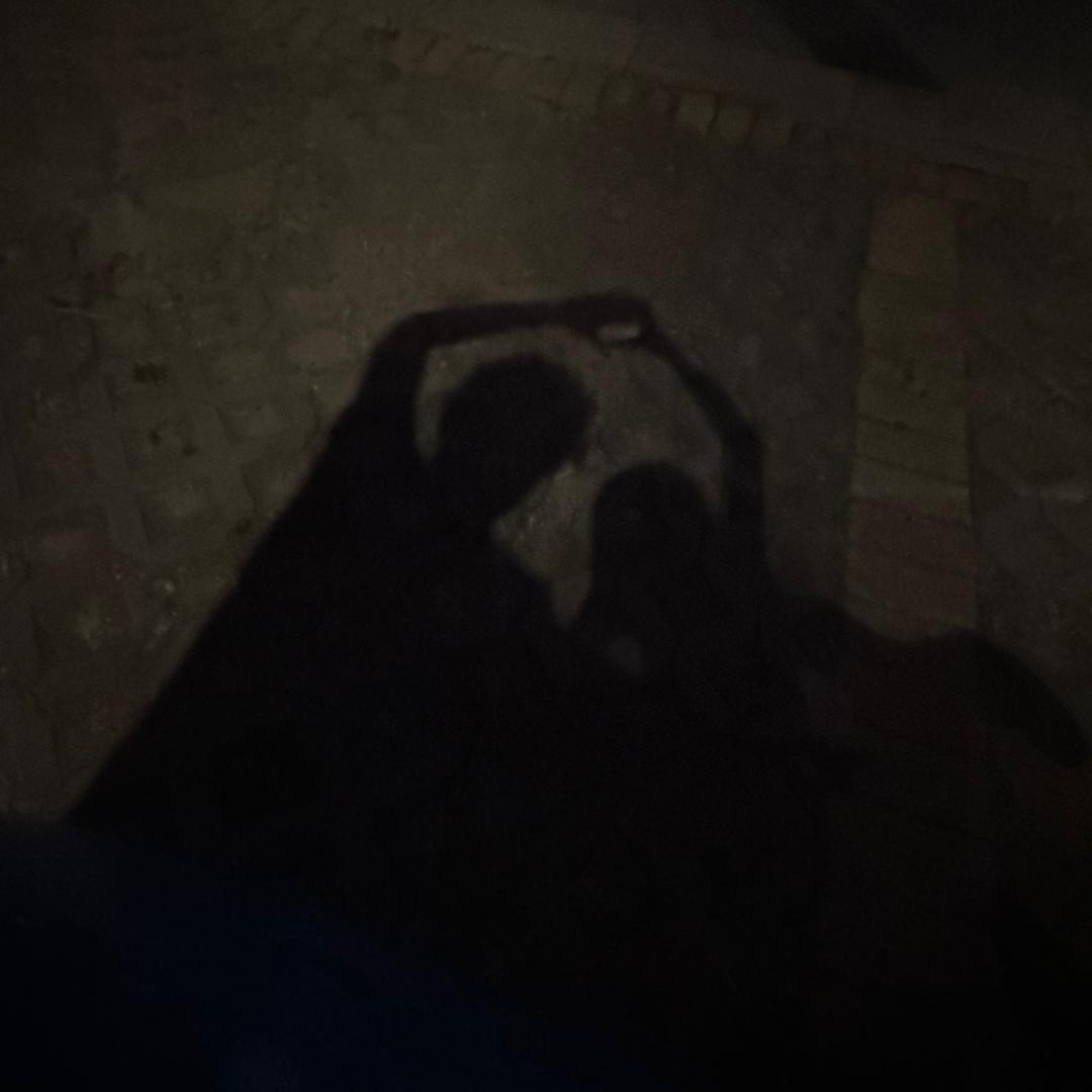 揽灯明.