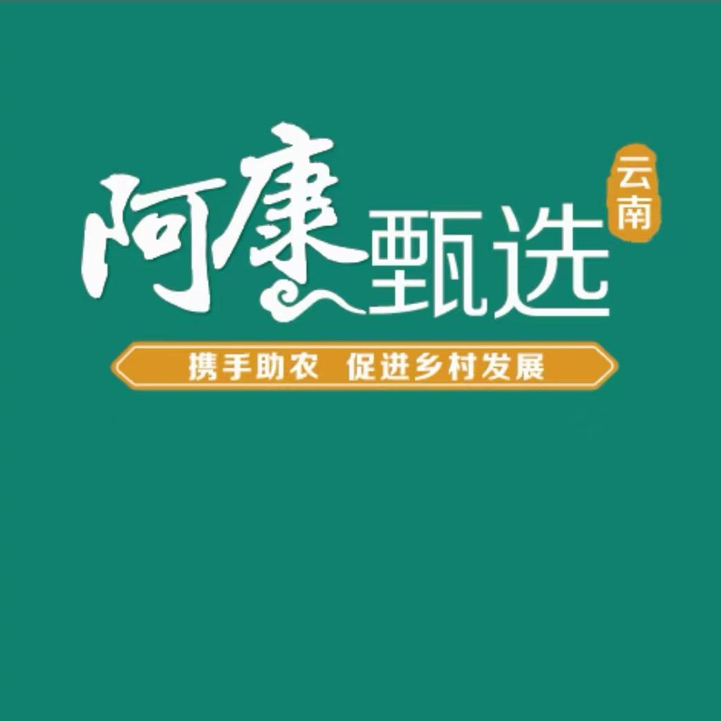 阿康村长助农记