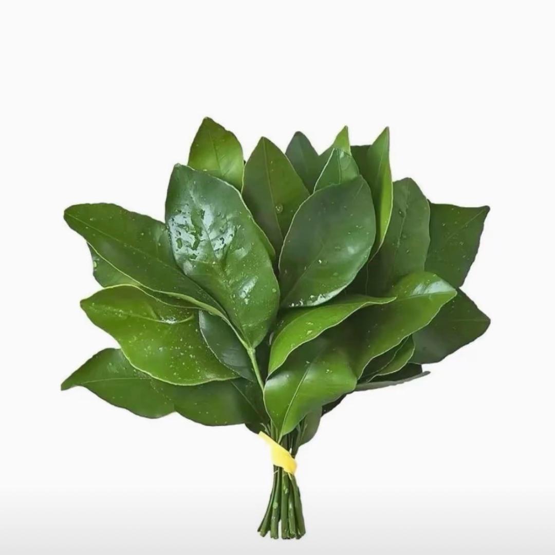 瞧这个大馋丫头