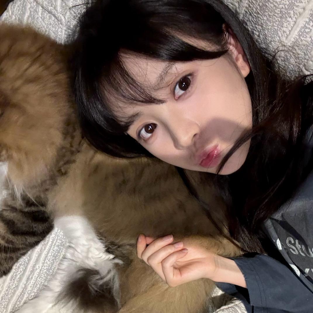 碎碎
