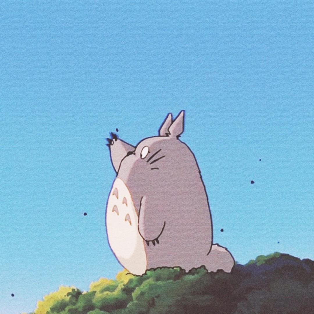 龙猫
