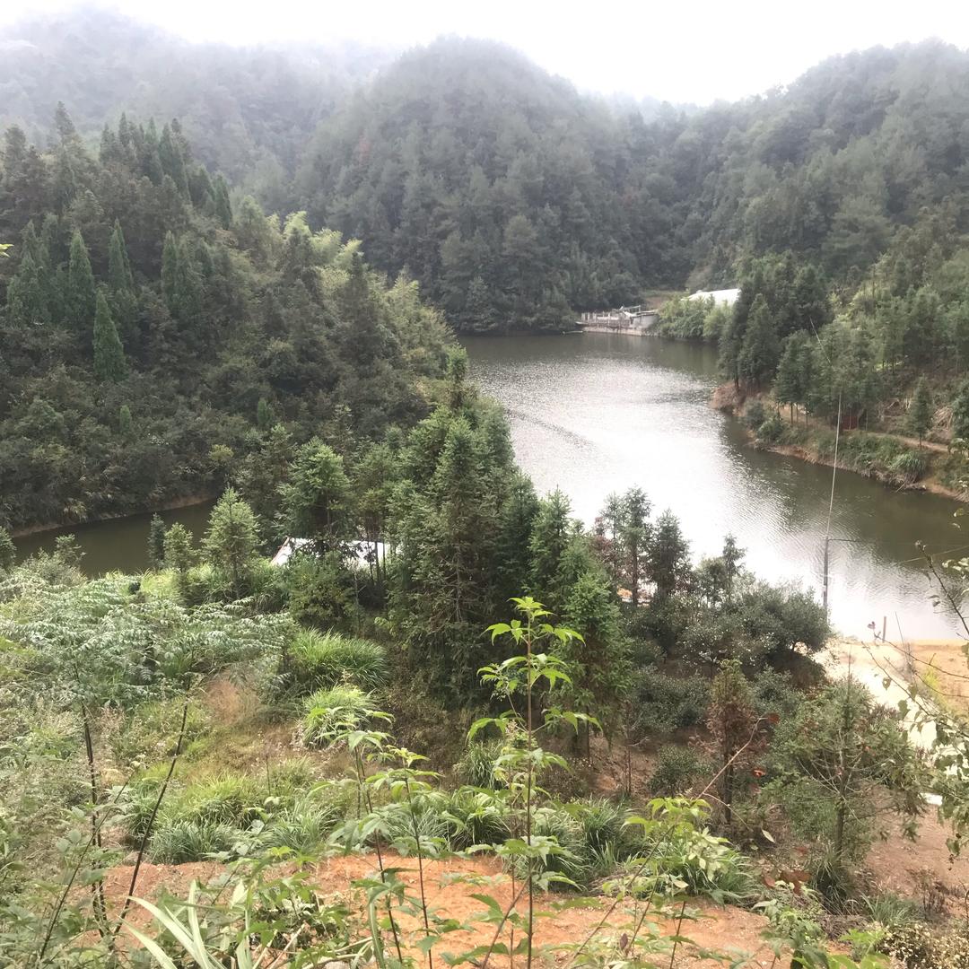 思雨