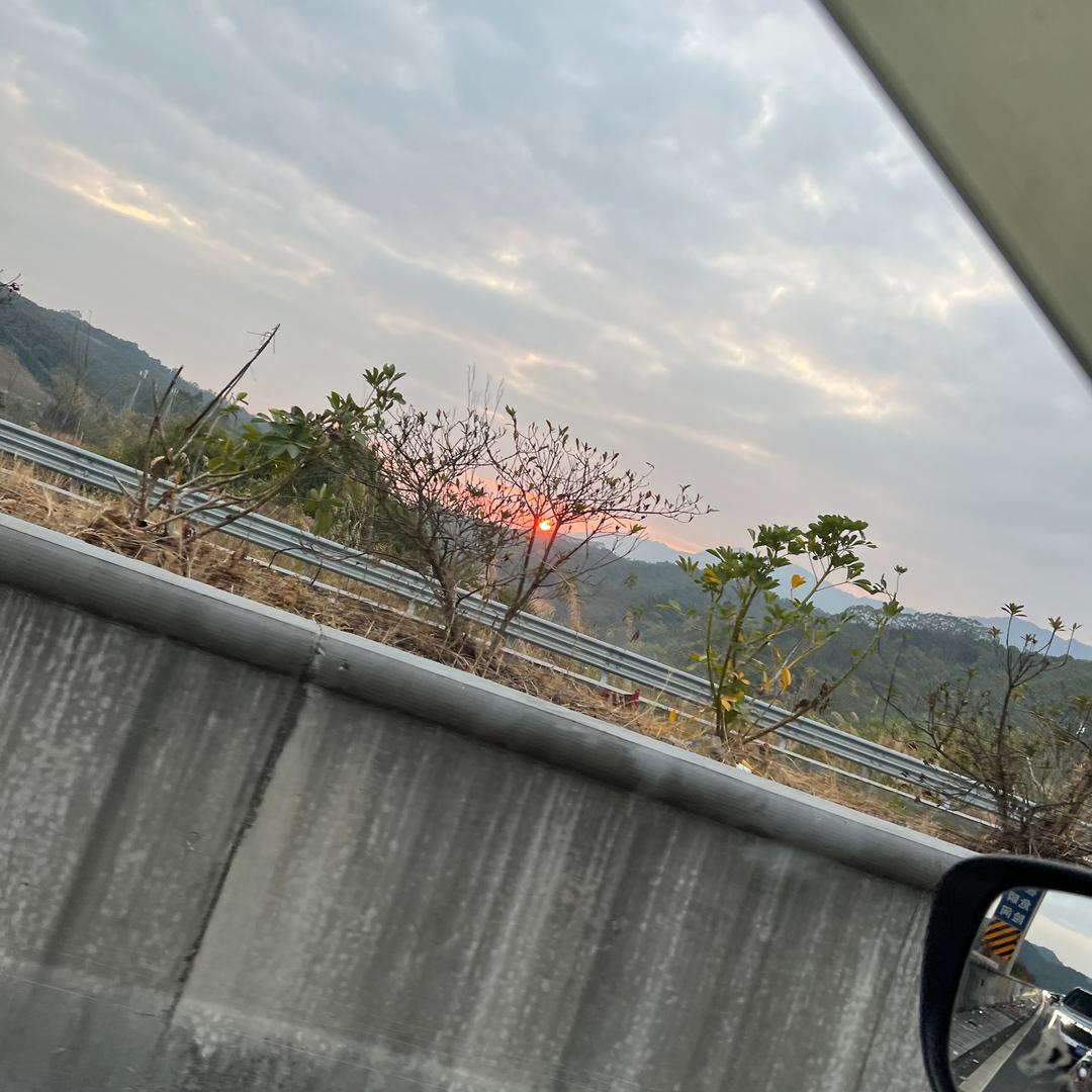 余之卉