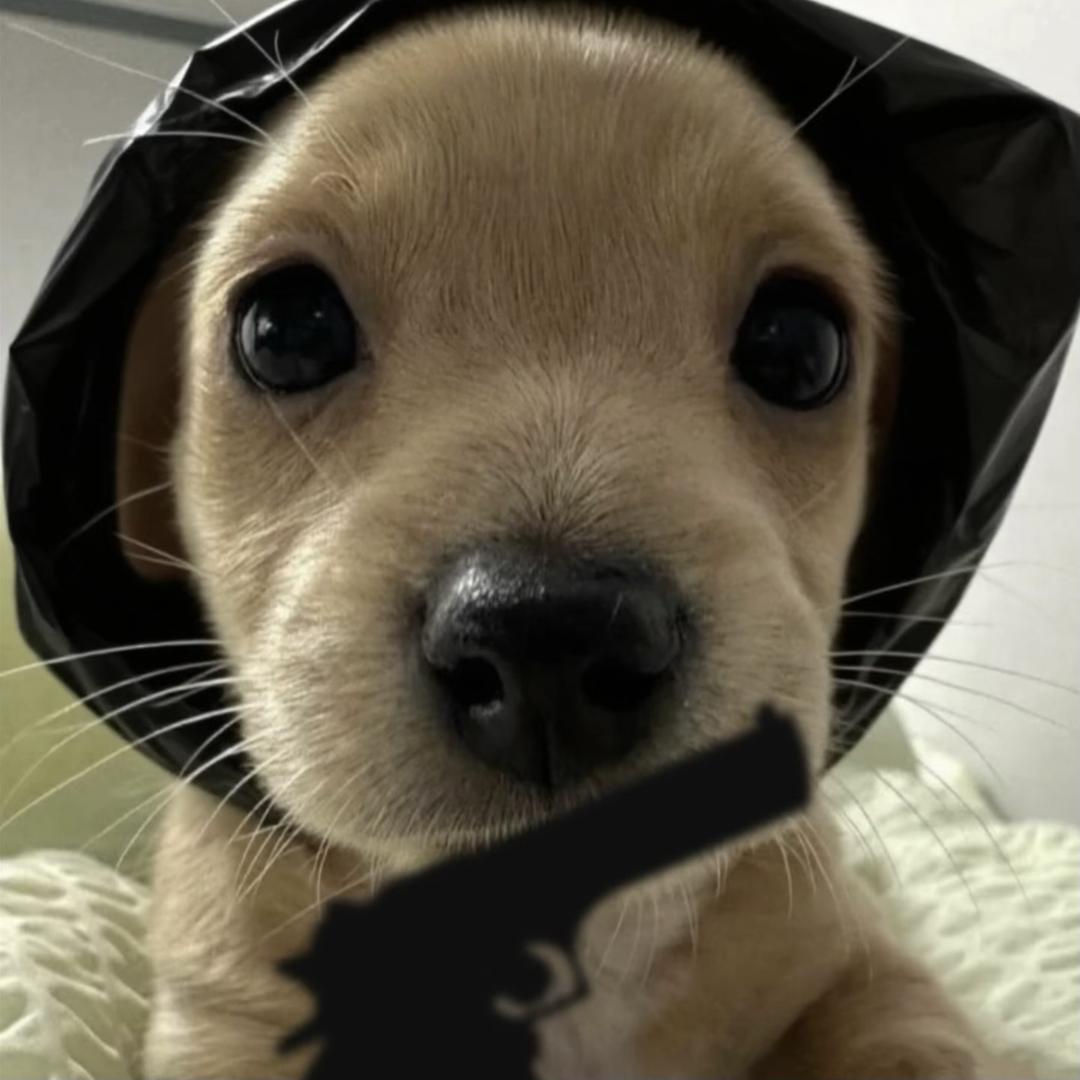 ㅤ7