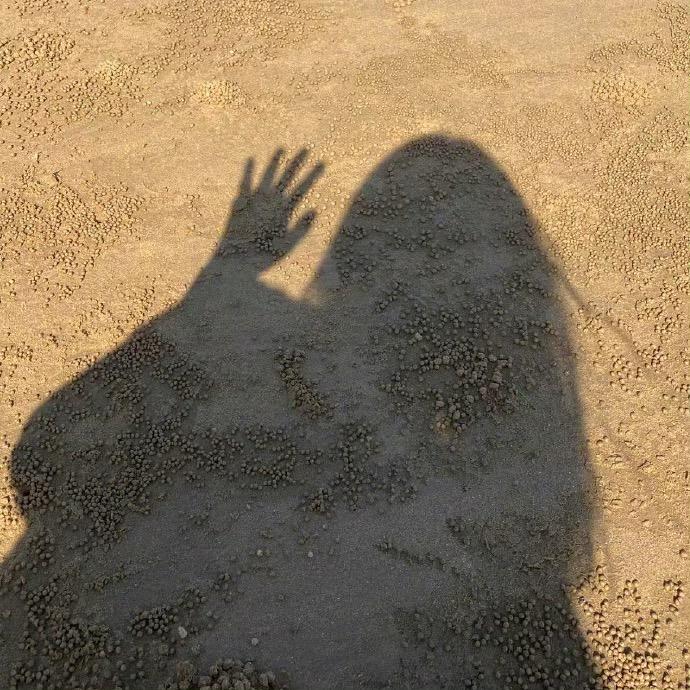 徐芳芳
