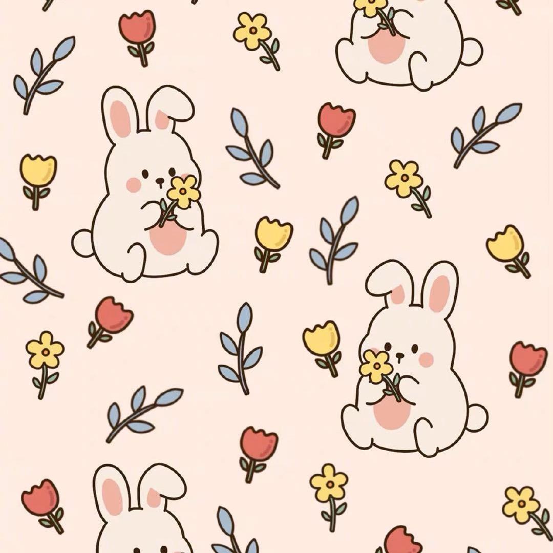 宜昌金睿安小李