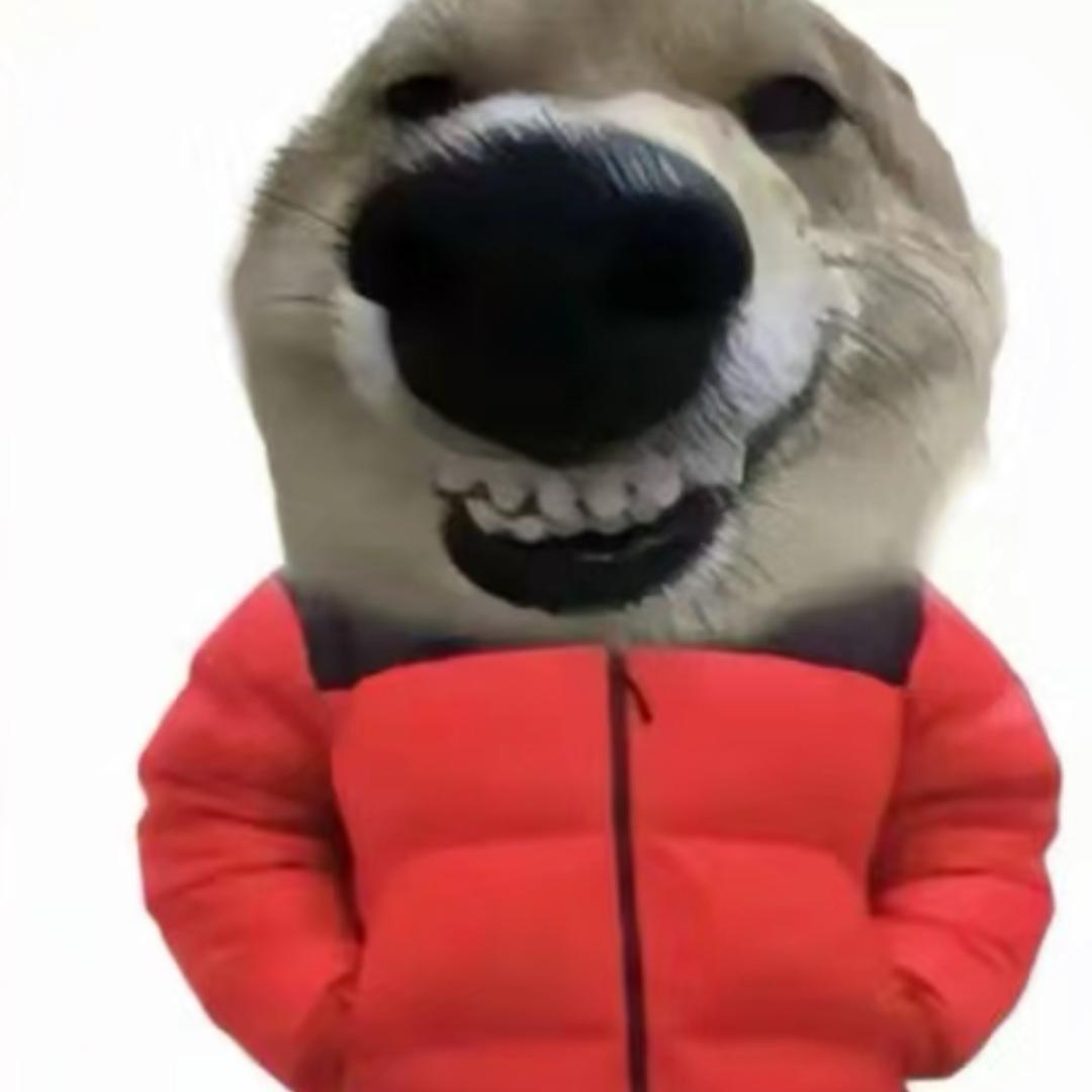 嘿嘿嘿