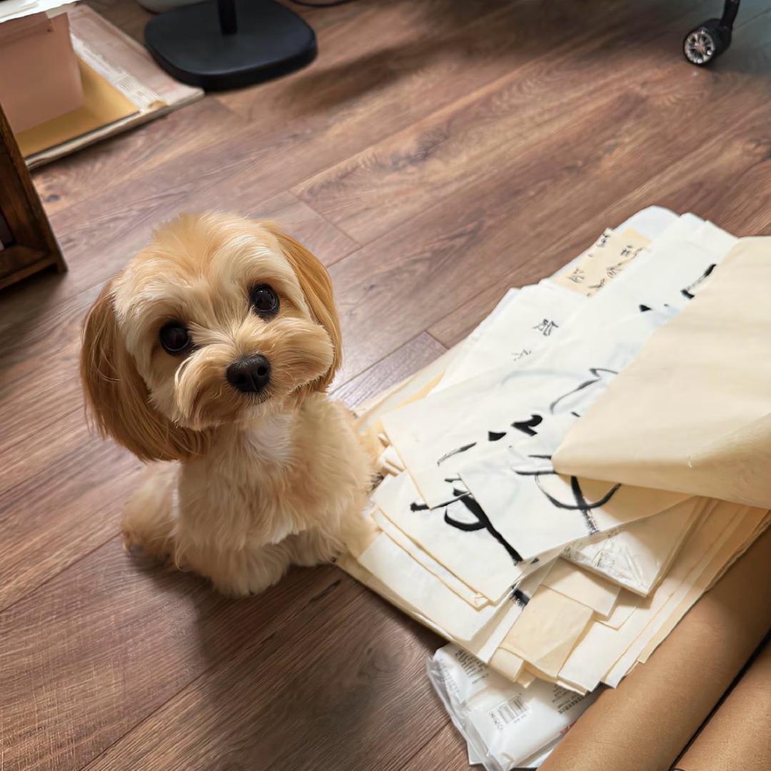 爱吃小云吞