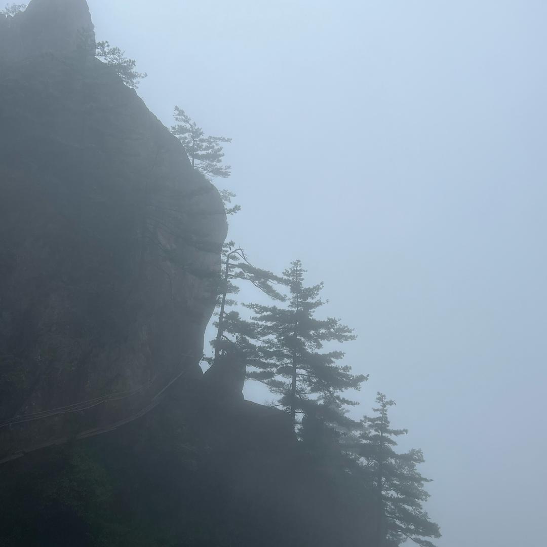 渔鱻翁