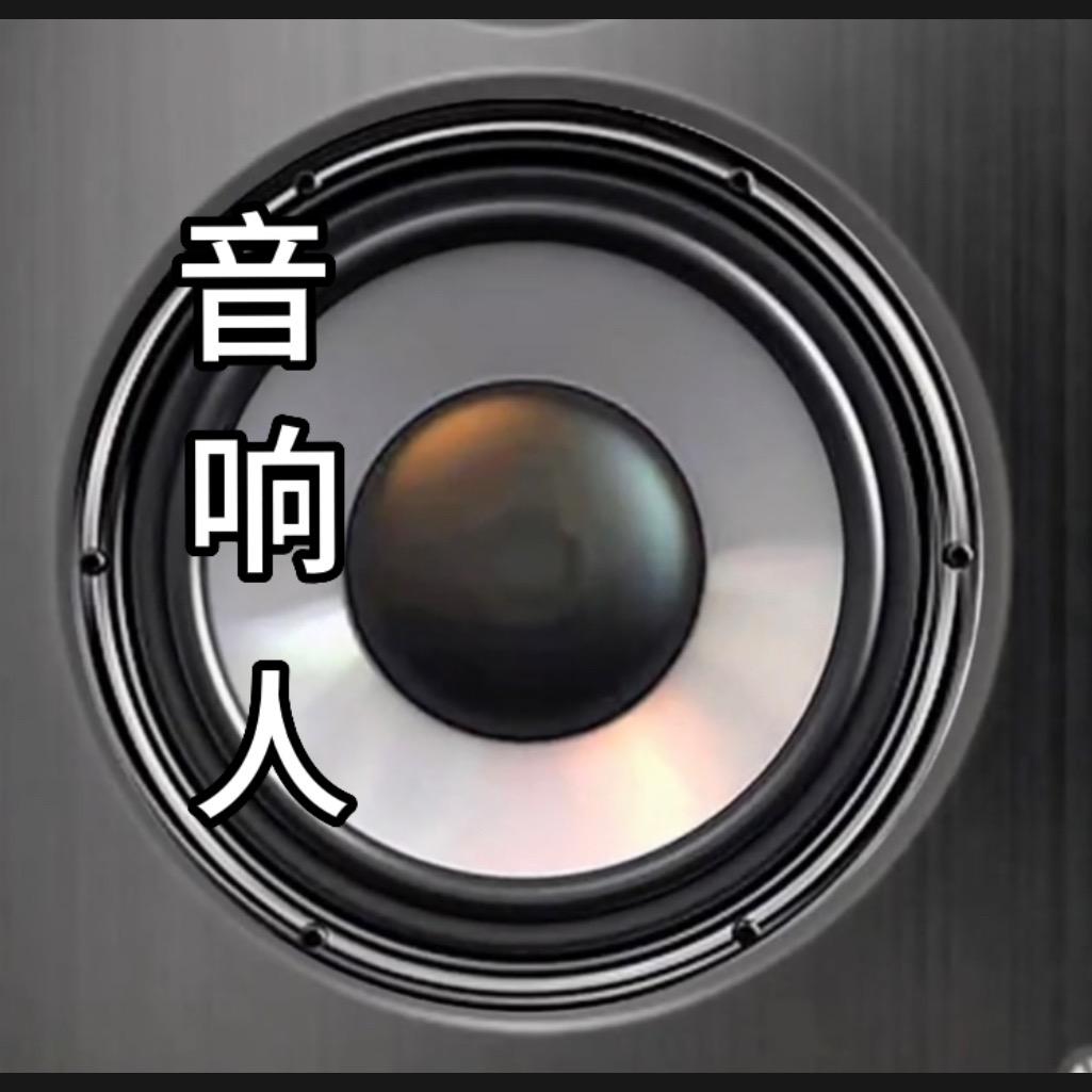 保定老赵音响 专业调音