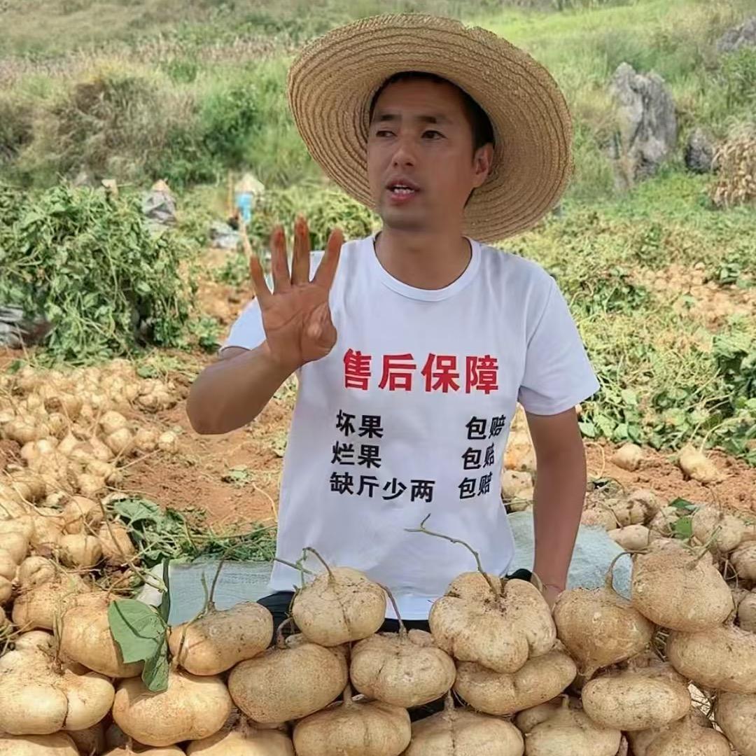 天学哥（贵州地萝卜）
