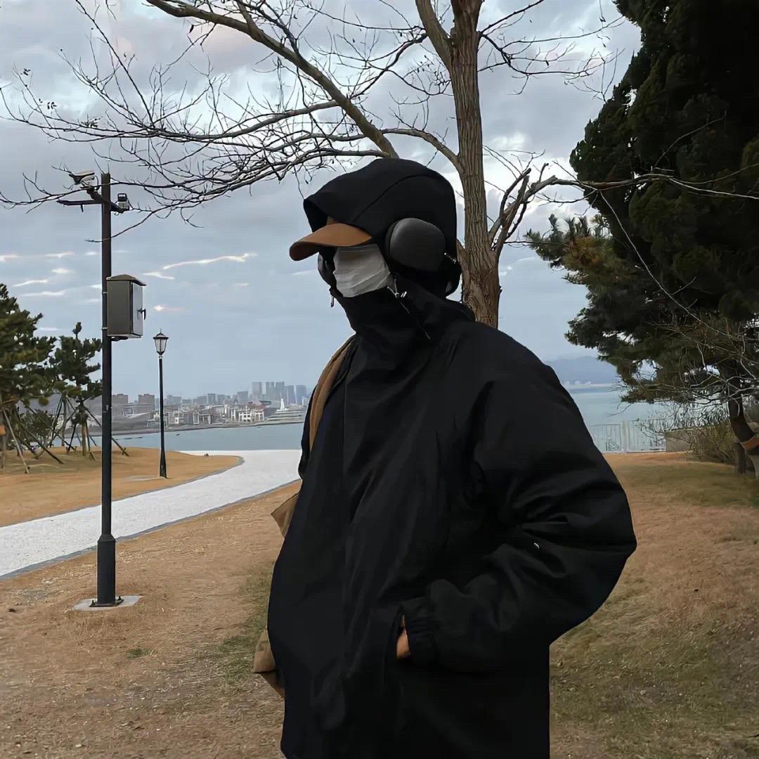 随风起n