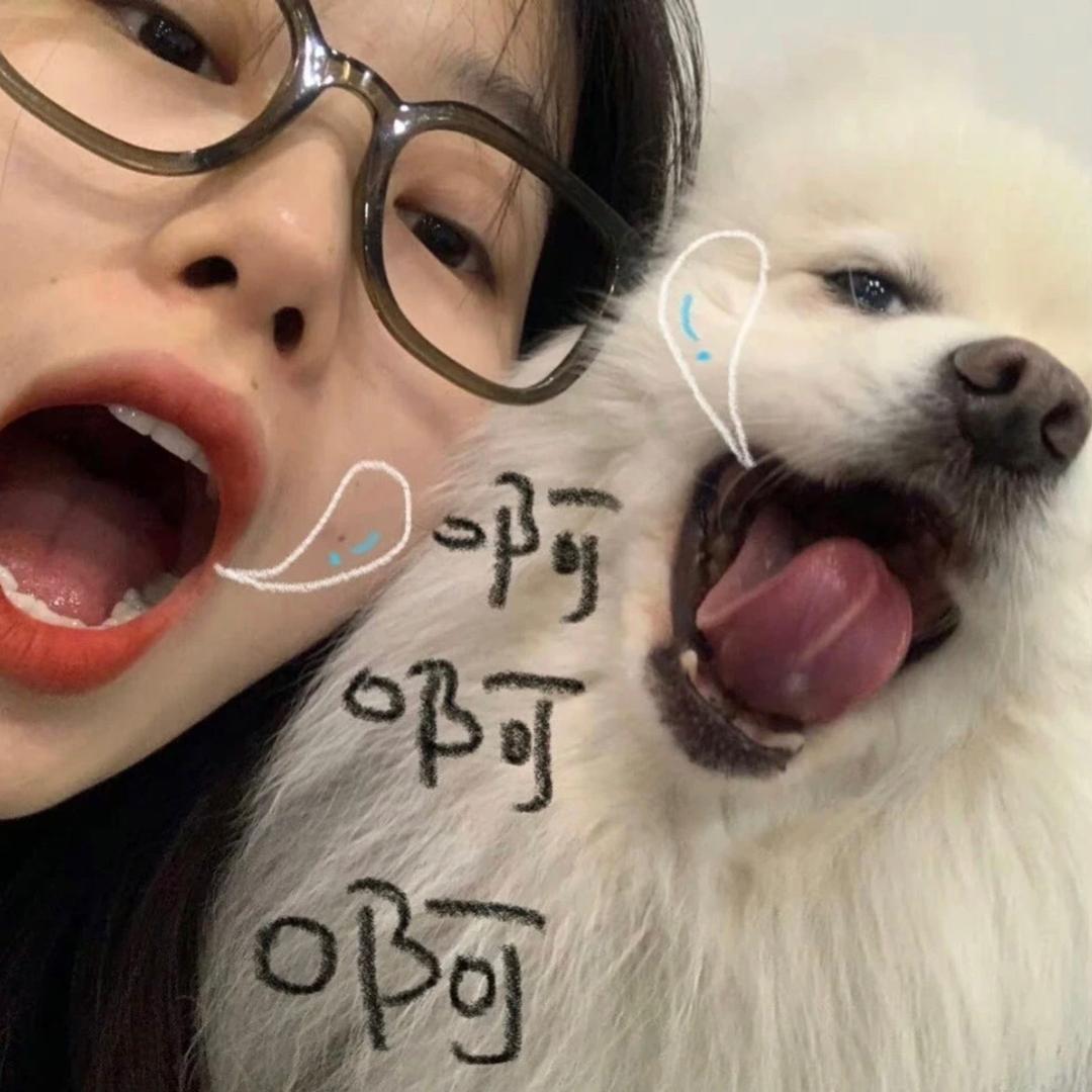 纸期呀