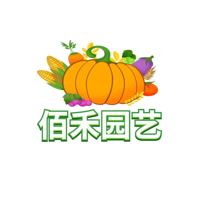 佰禾教种菜