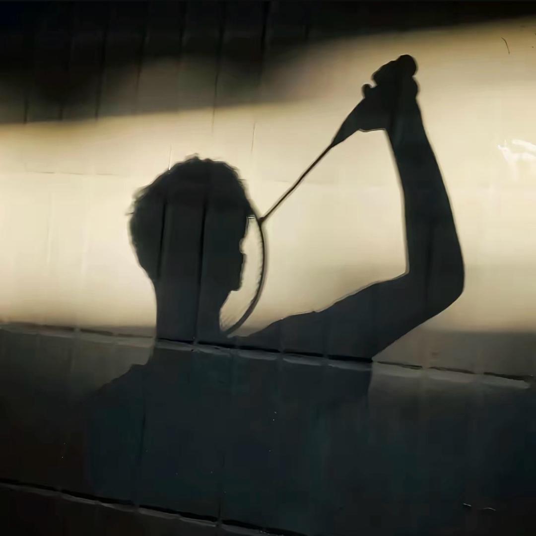 有球必应🏸 （回收、置换、出售)