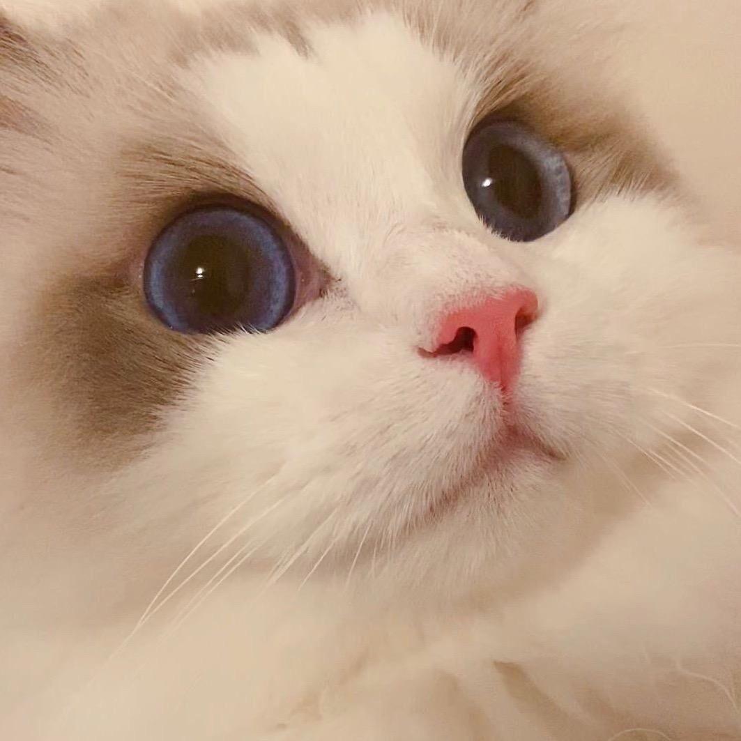 鹤^_^