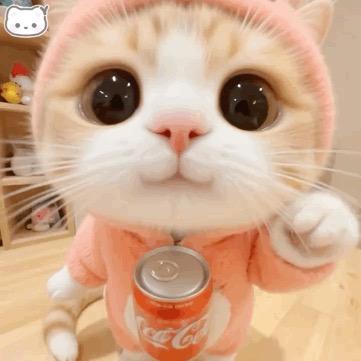 别离我太近脾气大