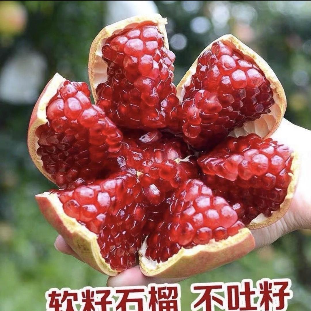 启丰农产品（阿杰）