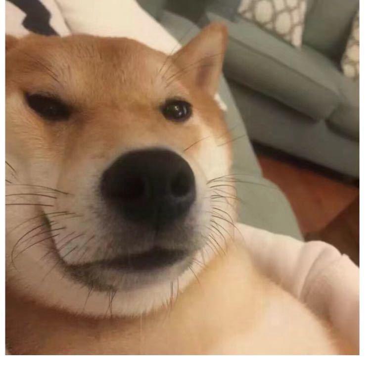 卖汽车配件的小熊