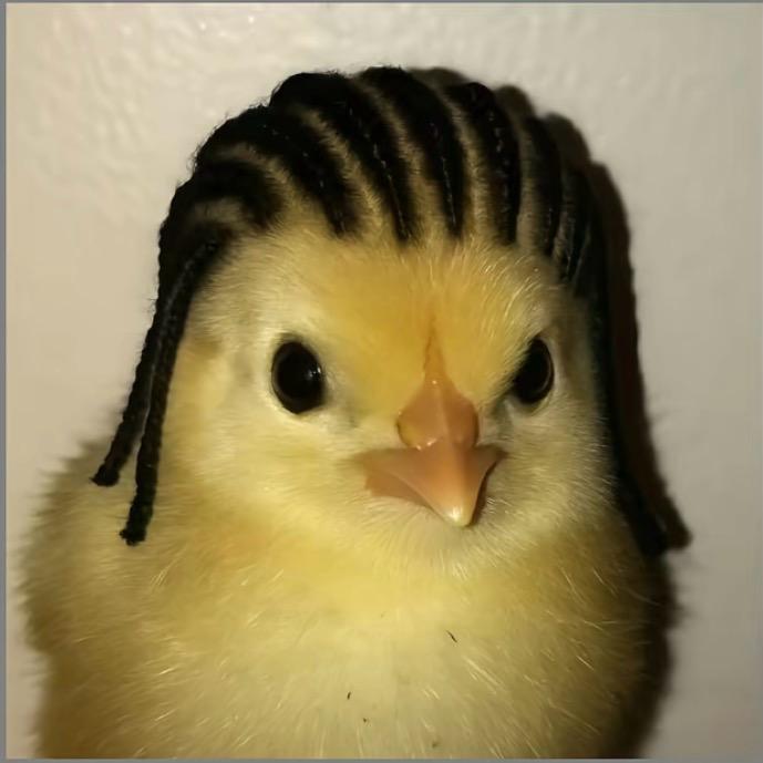 爱.“