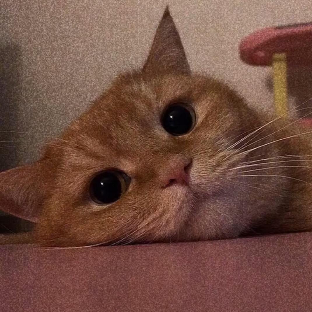 小凯冰鸟