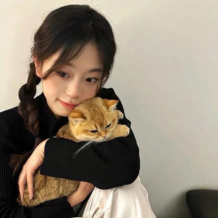 💤
