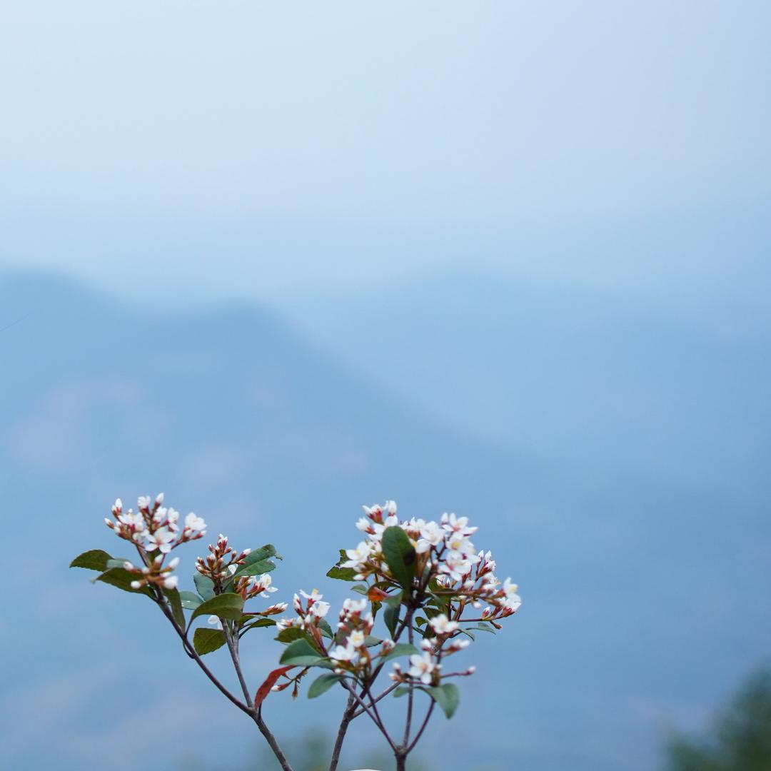 一只有夢想的青虫圭🐸