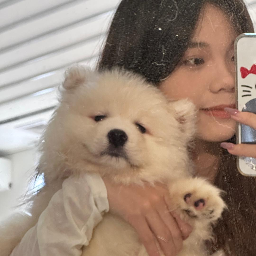 不爱kiki的小气鬼