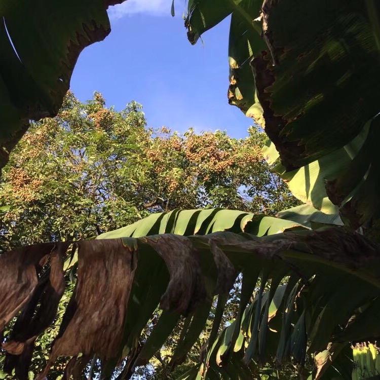 茗苑0928
