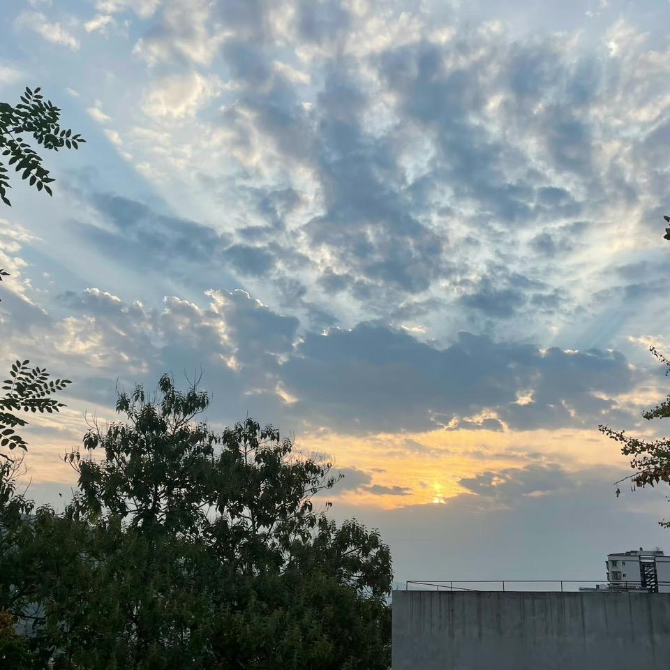 若命运由我决定