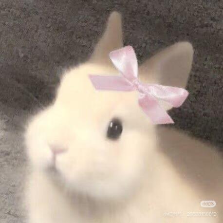 万福儿