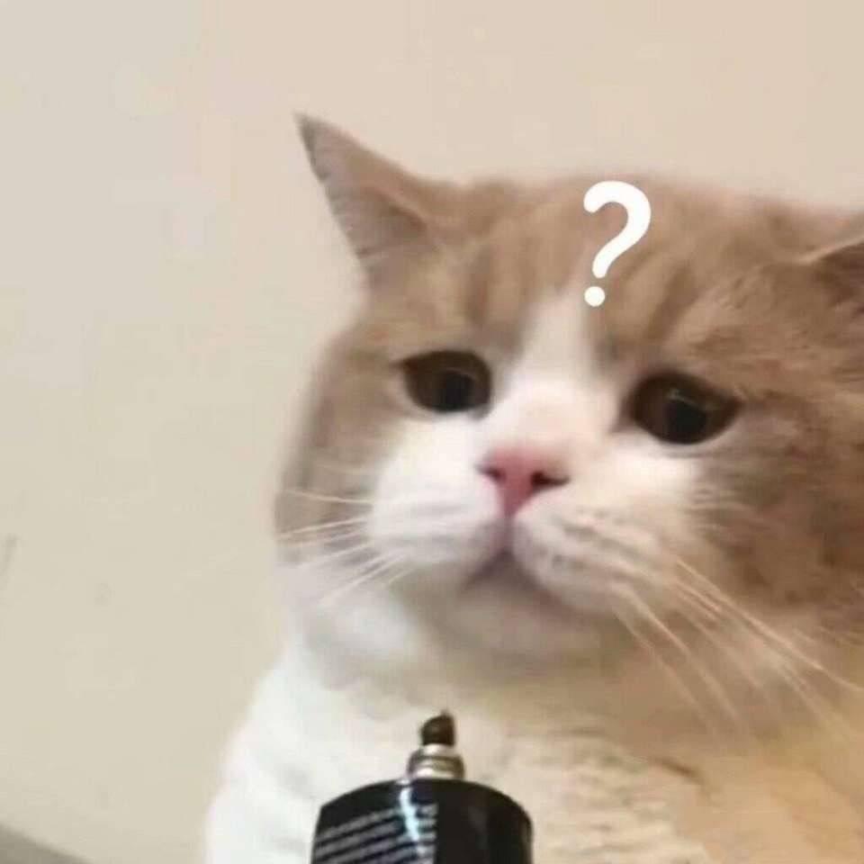 毛豆吃可爱