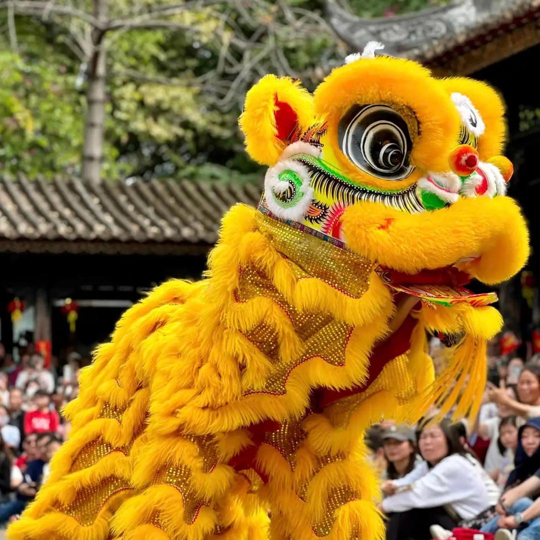 桂粤龙狮团——阿杰