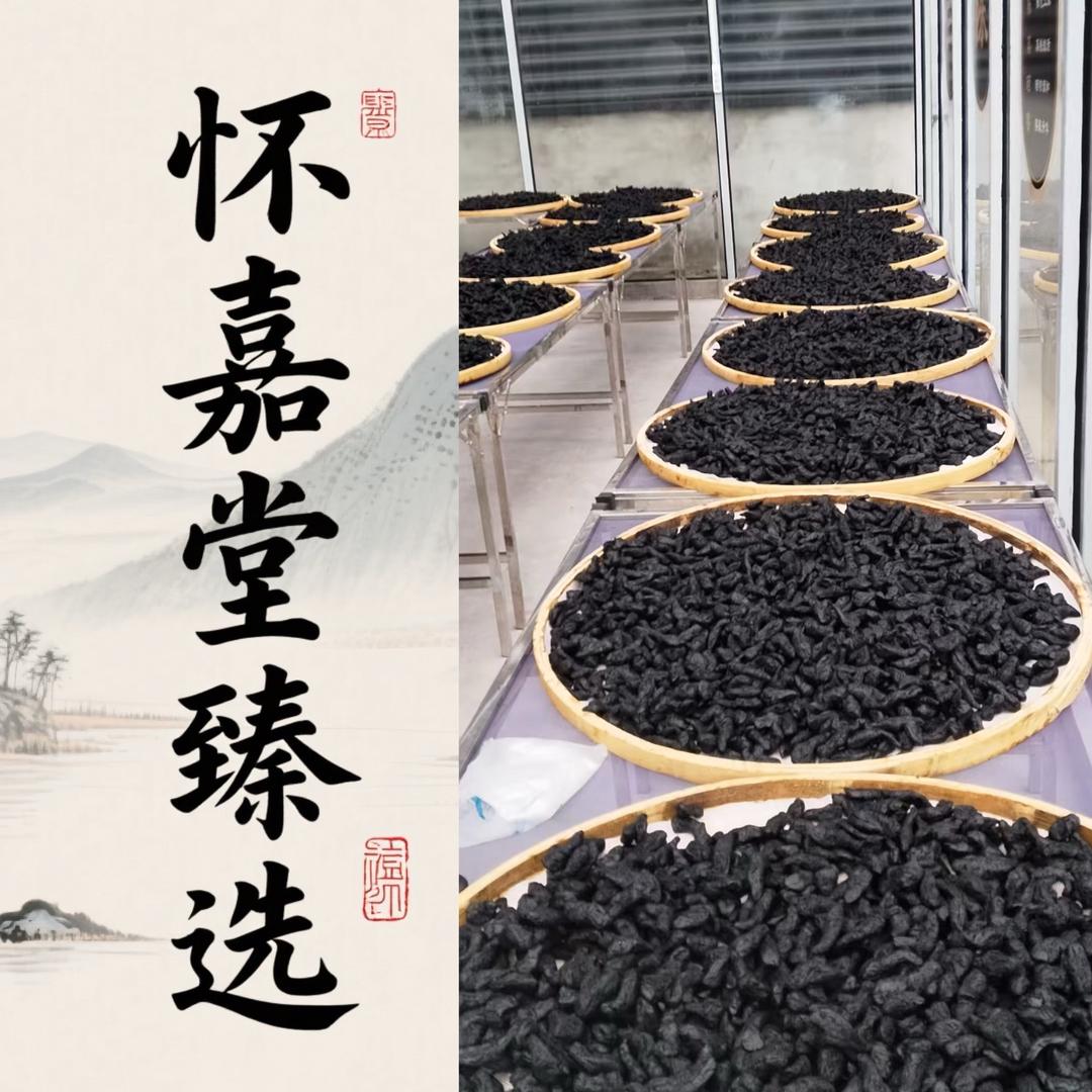 怀嘉堂熟地小妹(珊珊)