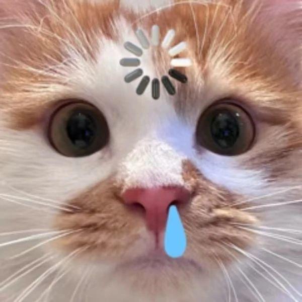 神秘奇女子