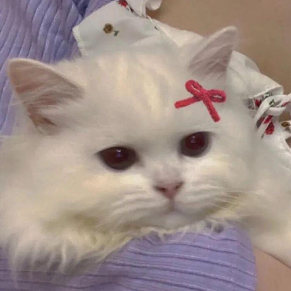 吃不吃梅子