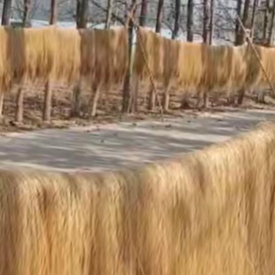 河南粉条