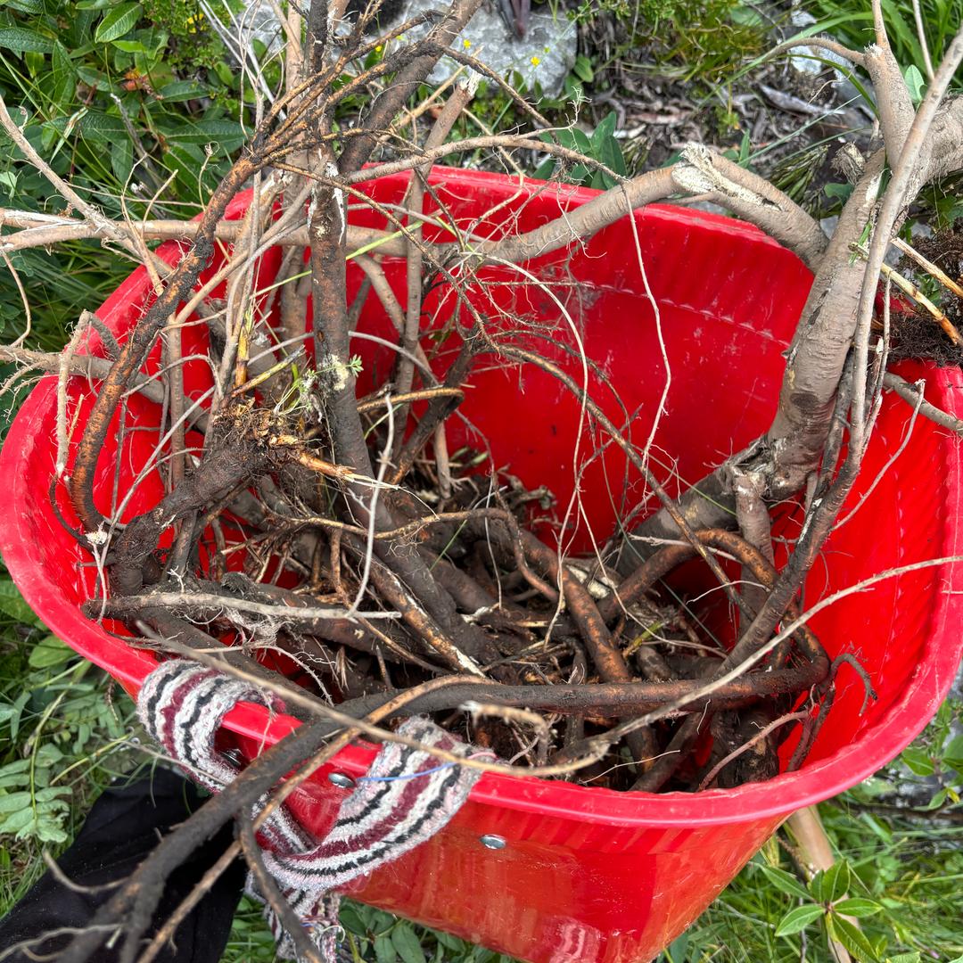 川西老邓山货店