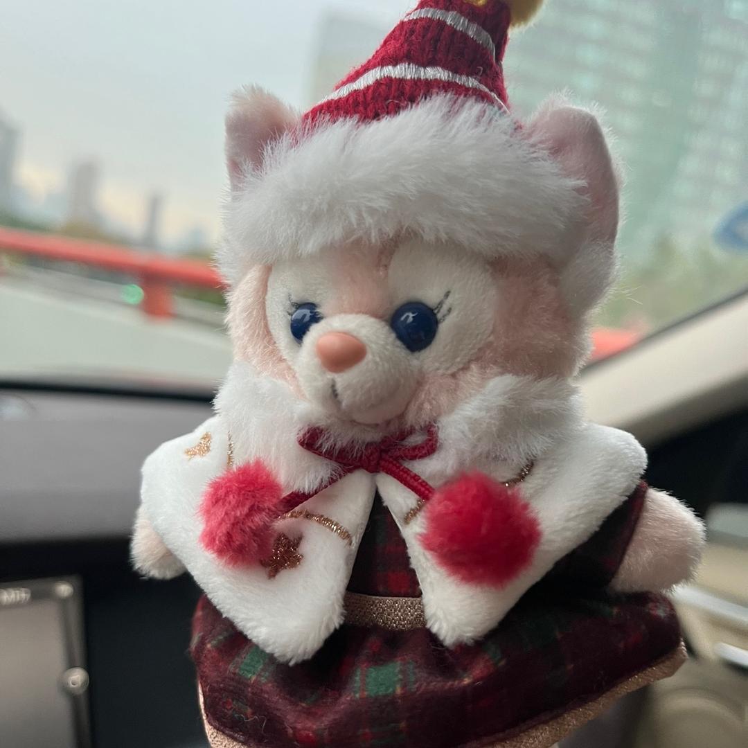 Sunny姐和她的猫咪们