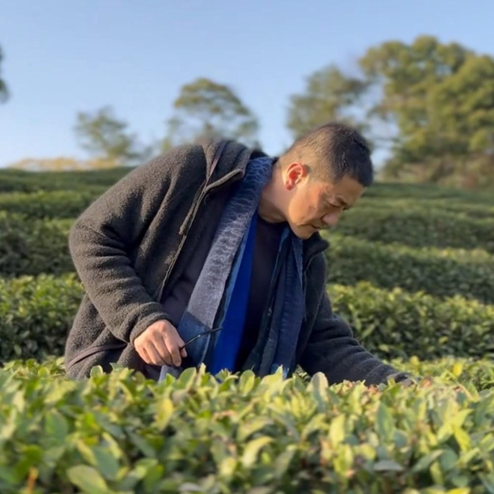 时聚-鹏哥源选好茶