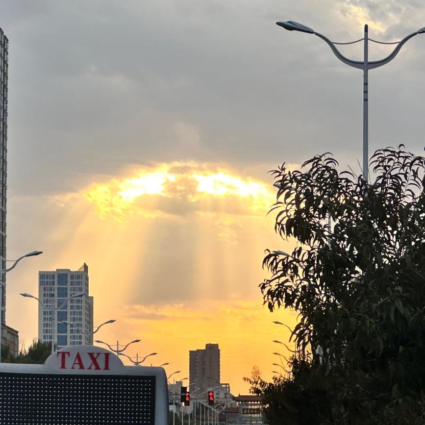 丫丫的避风港
