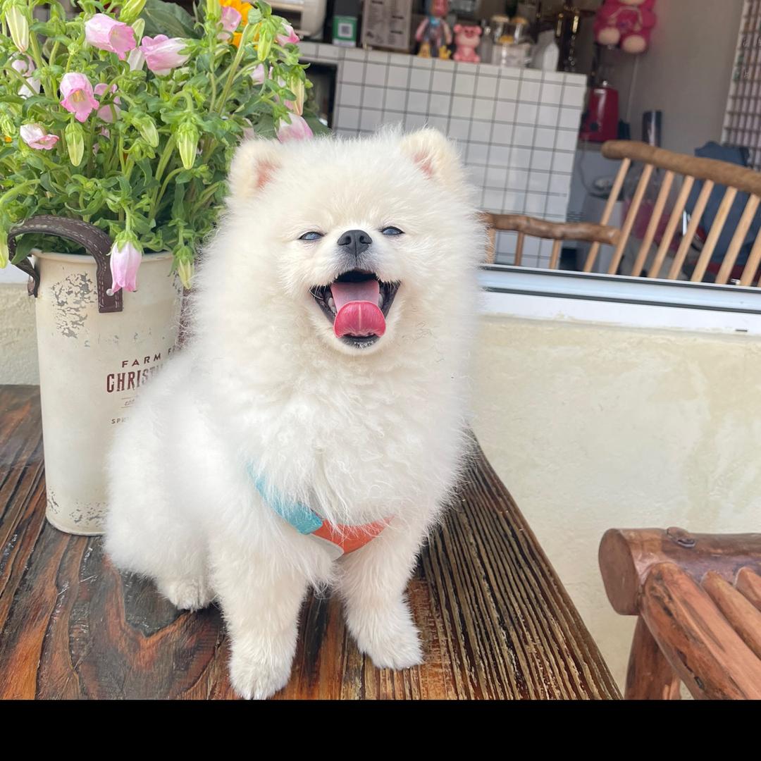 广州九刻两百货店（个人独资）