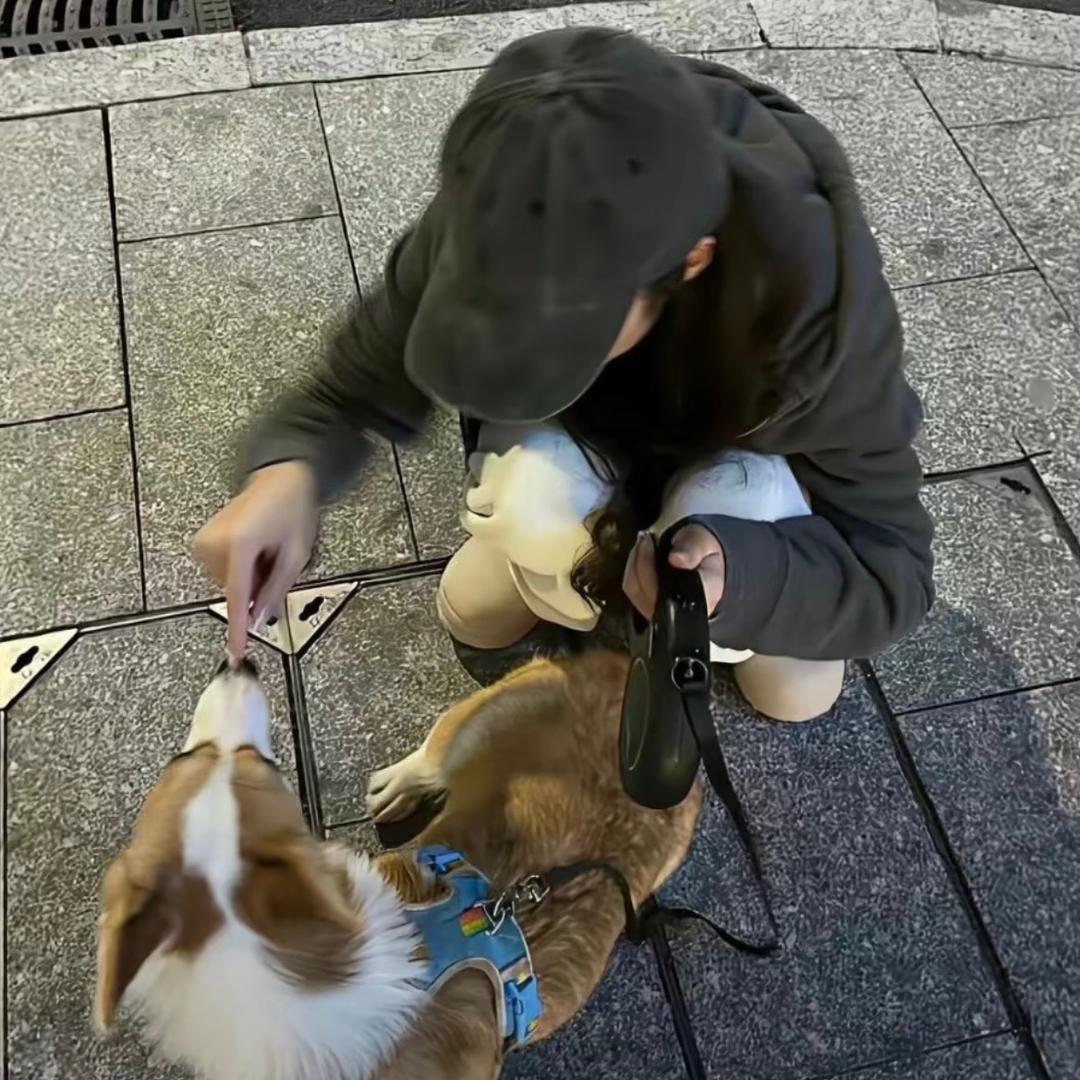不许吵懒洋洋大王